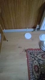 12814705_1690083014614139_7366578924545351140_n.webp