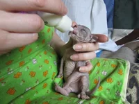 x_70fd5f86.webp x_70fd5f86.webp