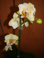DSC09763.webp