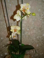 DSC09749.jpg