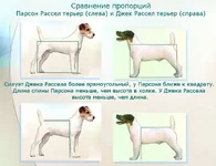 parson-rusell.webp