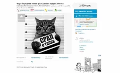 Снимок.jpg