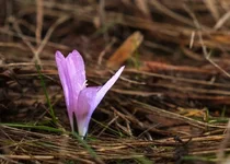 DSCF0443.webp