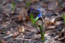 DSCF0461.webp