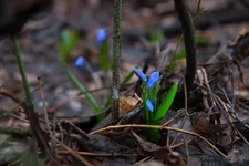 DSCF0464.webp