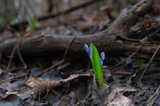 DSCF0470.webp