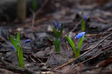 DSCF0482.webp