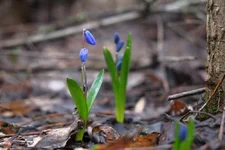 DSCF0501.webp