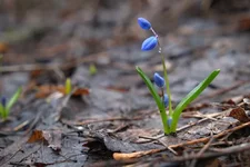 DSCF0531.webp