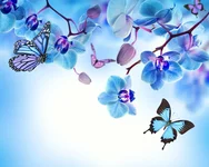 orchid-blue-flowers-beautiful 1.webp