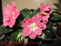 89a5af4.webp
