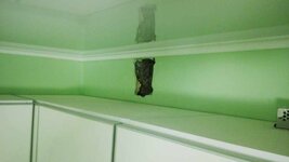 IMG_20160308_194623.jpg