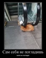 КТ.jpg