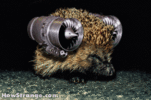 sigpic399184_2.gif