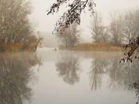CRW_1987.webp