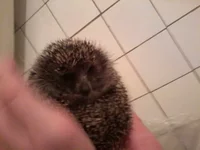 2013-10-20 00.40.34.webp