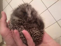 2013-10-20 00.40.04.webp
