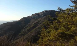 20160210_1639149.webp