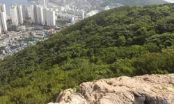 20150629_1533252.webp