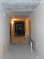 4.webp
