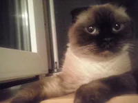 CAM00113.webp