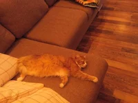 IMG_20150815_122118.webp