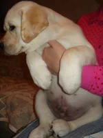 DSC02323.webp