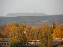 x_884a3a83.webp