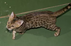 DSC07323.1.webp