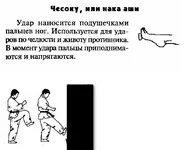 1.webp