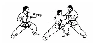2.webp