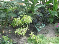 IMG_4146_изменить размер.webp