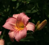 IMG_5205_2.webp