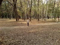 160920091562.webp