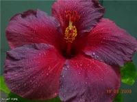 8d32b38d3416.jpg