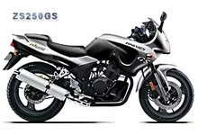 zs250gs.webp