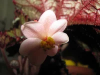 IMG_4192_изменить размер.webp