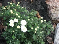 IMG_4213_изменить размер.webp