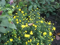 IMG_4214_изменить размер.webp