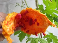 IMG_4215_изменить размер.webp