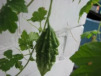 IMG_4220_изменить размер.webp