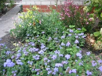 IMG_4221_изменить размер.webp