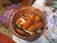 DSC00014.webp
