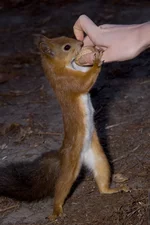 DSC03277.webp