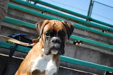 -065.webp