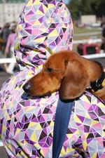 -074.webp