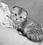 01.webp