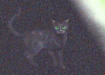 2433270.webp