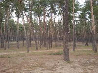 20160308_131322.webp