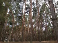 20160322_152639.webp